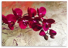 Obraz na plátně Růžová orchidej Květina Textura - 90x60 cm