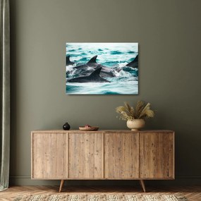 Sklenený obraz - Delfíny v oceáne (70x50 cm)