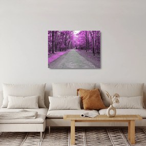 Sklenený obraz - Cesta parkom (70x50 cm)