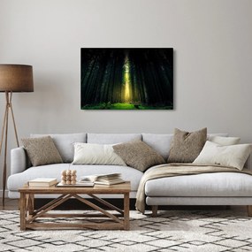 Obraz temného lesa (90x60 cm)