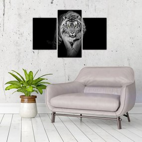 Obraz - Tiger so žltými očami (90x60 cm)