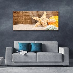 Obraz plexi Piesok hviezdica umenie 125x50 cm