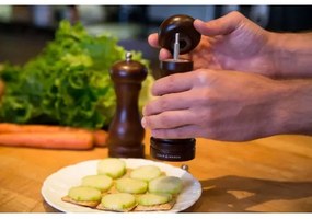 Cole&Mason - Mlynček na korenie CAPSTAN FOREST buk 16,5 cm