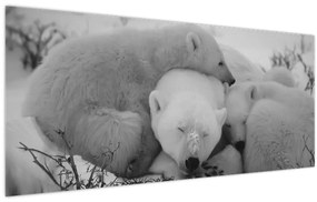 Obraz - Ľadové medvedíky, čiernobiela (120x50 cm)