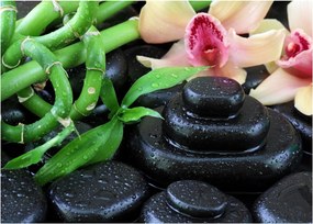 Sklenený obraz - Kamene a orchidey (70x50 cm)
