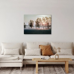 Obraz - Ranná sychravosť (70x50 cm)