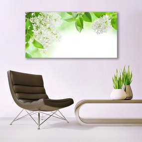 Obraz na akrylátovom skle Plátky rastlina príroda 120x60 cm
