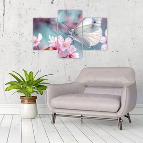 Obraz - Motýľ na čerešni (90x60 cm)