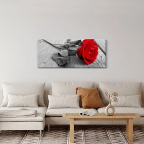 Obraz červených ruží (120x50 cm)