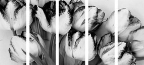 5-dielny obraz jarné tulipány v čiernobielom prevedení - 200x100