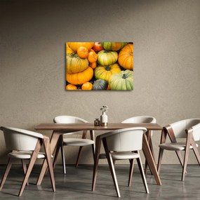 Obraz - Jesenná tekvica (70x50 cm)