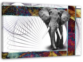 Obraz na plátně Sloní zvířata - 90x60 cm