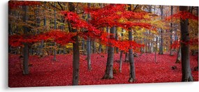 Obraz - Červený les (120x50 cm)