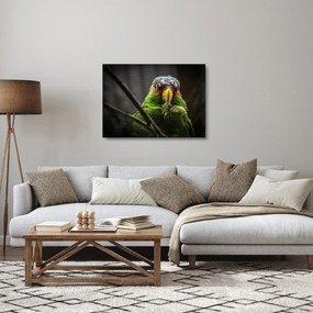 Sklenený obraz papagája (70x50 cm)