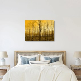 Sklenený obraz - Plantáž stromov (70x50 cm)