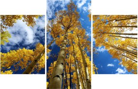 Obraz - Aspen (90x60 cm)