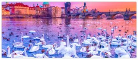 Obraz - Praha (120x50 cm)
