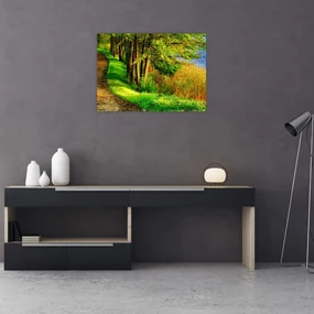 Obraz chodníky pozdĺž vody (70x50 cm)