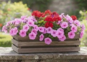 AMADEA Drevený obal na kvetináč tmavý, 62x21,5x17cm Český výrobok