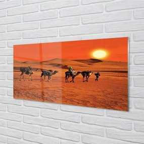 Obraz na skle Ťavy ľudí púštne slnko neba 100x50 cm