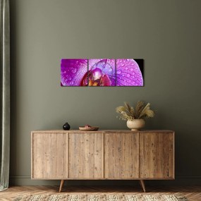 Detailný obraz kvetu orchidey (s hodinami) (90x30 cm)