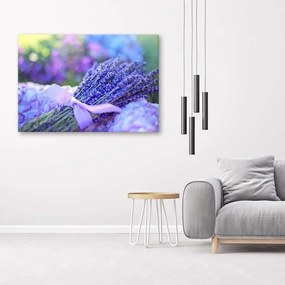 Obraz na plátně Levandulové květiny Příroda - 120x80 cm