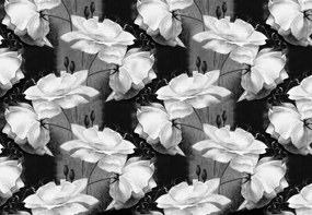 Fototapeta - Kvetinový vzor - čiernobiely (254x184 cm)