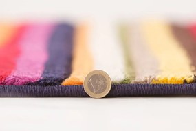Flair Rugs, AKCIA: 66x230 cm Behúň Spectrum Tango Multi, viacfarebná, chodba / predsieň