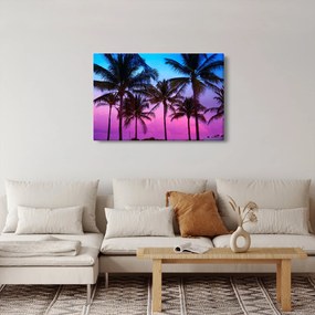 Obraz - Palmy v Miami (90x60 cm)