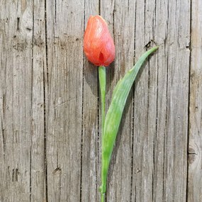 tulipán oranžový jemne bielený 42CM cena za 1ks