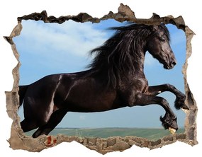 Díra 3D fototapeta na stěnu Čierny kôň na lúke nd-k-26473191