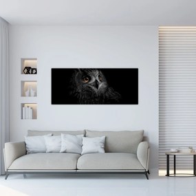 Obraz - Sova, ilustrácie (120x50 cm)