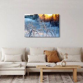 Obraz - Zimná lúka (90x60 cm)