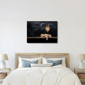 Obraz - Lev a levice v oblakoch (70x50 cm)
