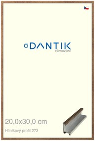 DANTIK rám na obraz 20x30 | ALU Dýha wenge (Sklo Čiré)