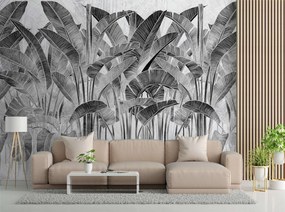 Gario Fototapeta Banánové listy v čiernej a bielej farbe Materiál: Vliesová, Rozmery: 400 x 280 cm