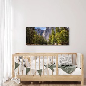 Obraz - Pod Yosemite skalou (120x50 cm)