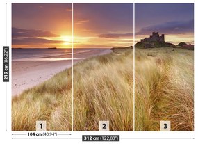 Fototapeta Vliesová Piesočné duny hrad 208x146 cm