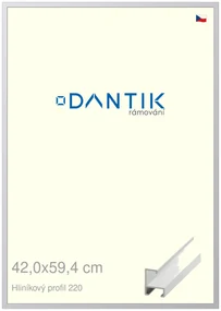 DANTIK rám na obraz 42x59,4 | ALU Bílá matná (Plexi Čiré)