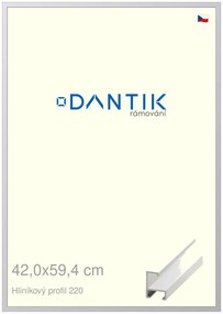 DANTIK rám na obraz 42x59,4 | ALU Bílá matná (Plexi Čiré)