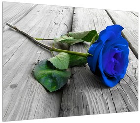 Obraz modrej ruže (70x50 cm)