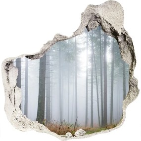 Fototapeta diera na stenu 3D Hmla v lese nd-p-74026356