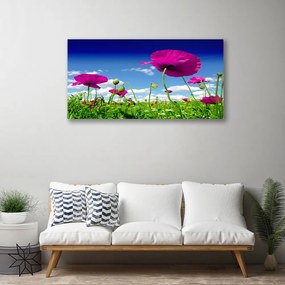 Obraz Canvas Lúka kvety nebo príroda 120x60 cm
