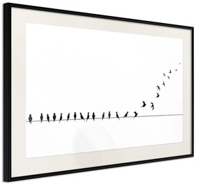 Artgeist Plagát - Let's Fly [Poster] Veľkosť: 45x30, Verzia: Čierny rám s passe-partout