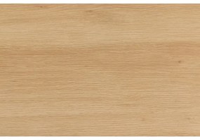 Šatníková skriňa OLIVIA 99x200 cm dub