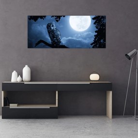 Obraz - Nočná sova (120x50 cm)