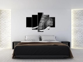Obraz - Slonie kly (150x105 cm)