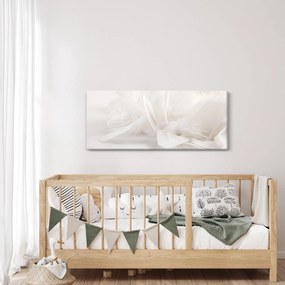 Obraz - Perie (120x50 cm)