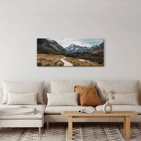 Obraz - Chodník v údolí hory Mt. Cook (120x50 cm)