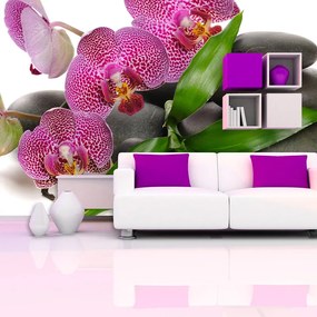 Sablio Tapeta Orchidey a kamene - 336x220 cm